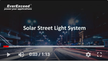 EverExceed EVSTL LED Solar Street Light System