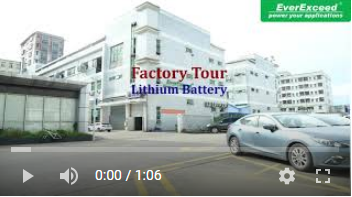 EverExceed Lithium battery factory