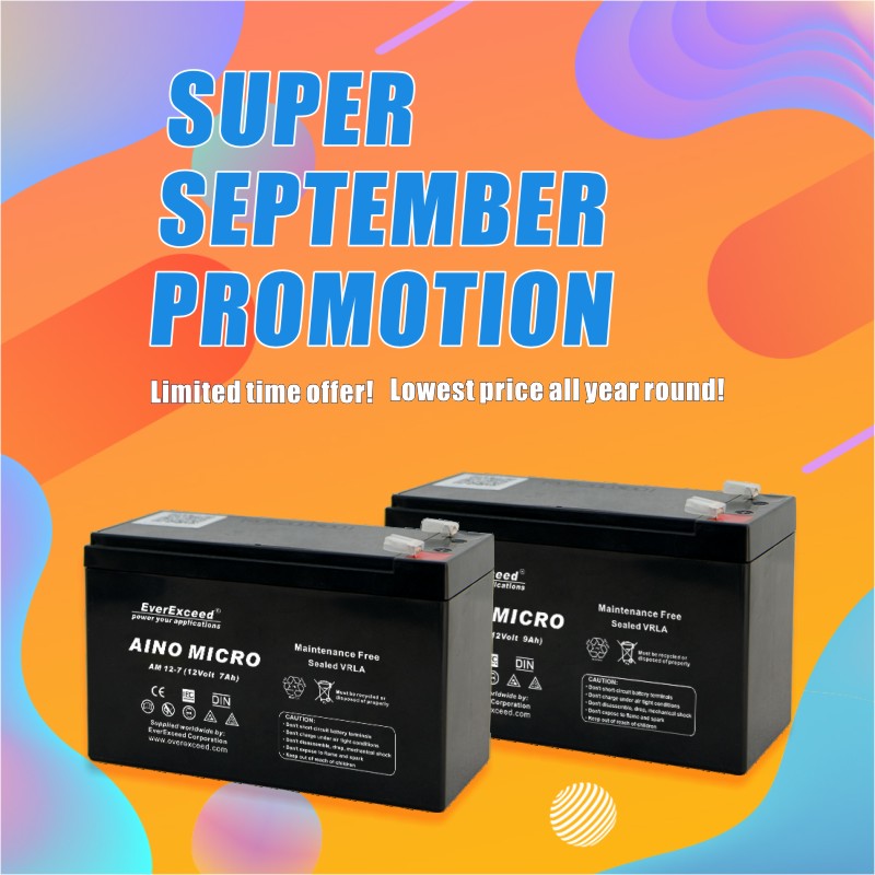 September Promotional Sale AINO MICRO Range VRLA Battery -EverExceed