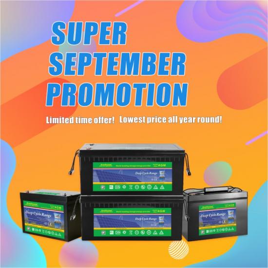 September Promotional Sale Deep Cycle AGM Range VRLA Battery -EverExceed