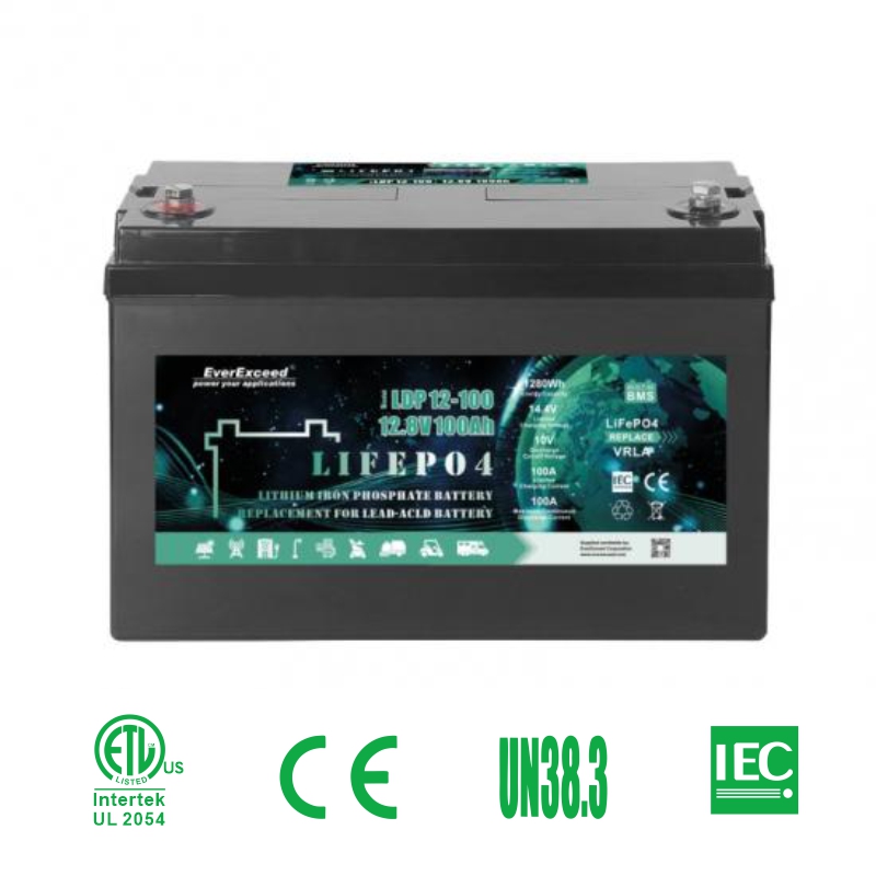 LiFePO4 Storage Battery Pack for Vehicle