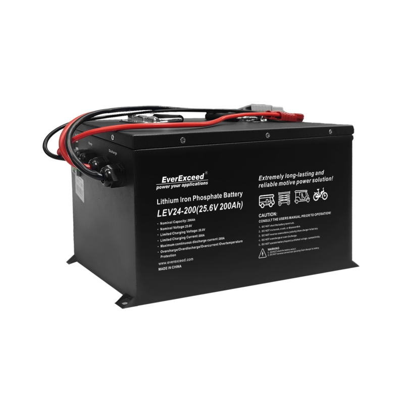 LiFePO4 Storage Battery Pack for Vehicle