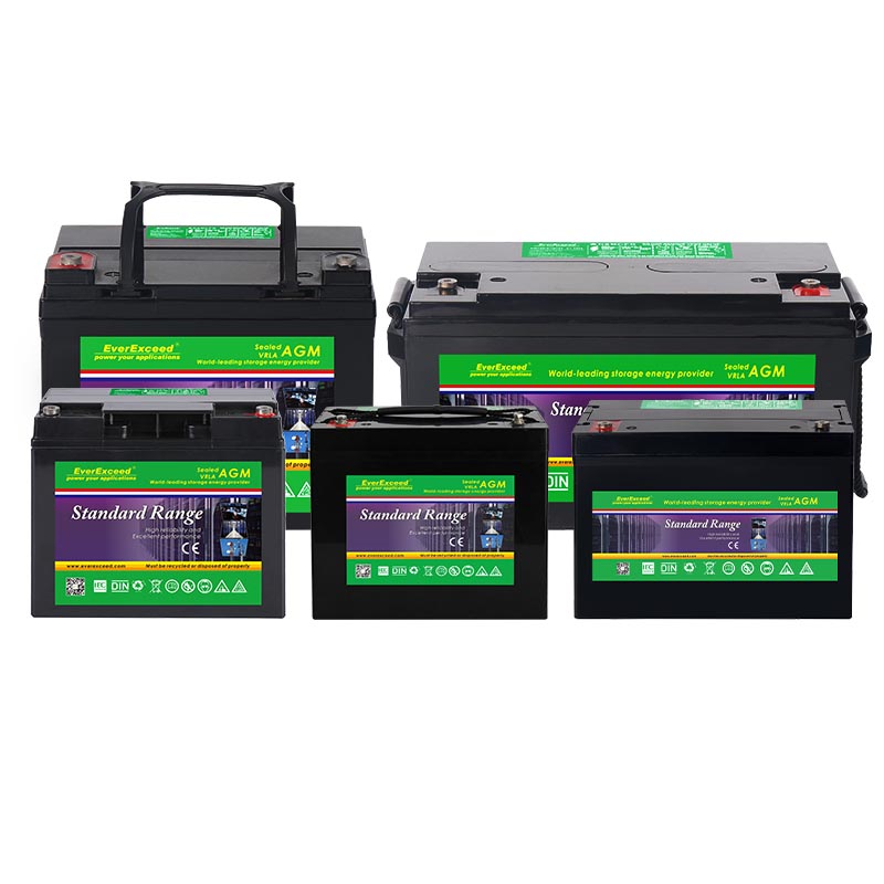 UPS battery