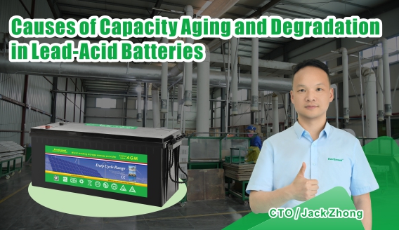 EverExceed Insight | Understanding the Causes of Lead-Acid Battery Capacity Degradation