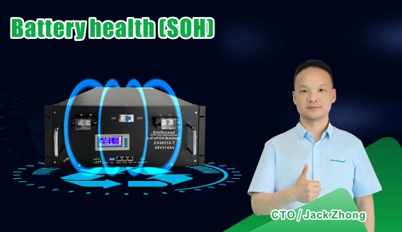EverExceed | Understanding SOH (State of Health) in LiFePO₄ Batteries