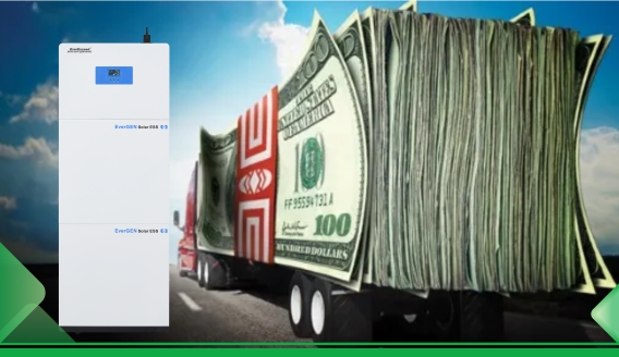 Household storage market and profit model