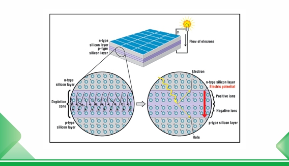 Comparison of N-type and P-type cells for photovoltaic modules