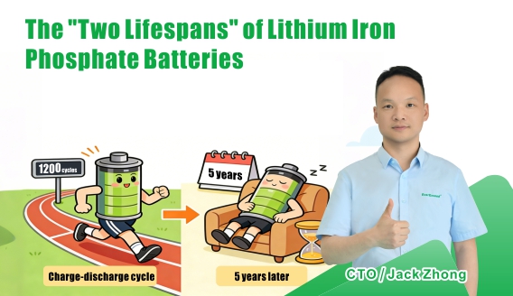 Understanding the Difference Between Cycle Life and Calendar Life of LiFePO₄ Batteries