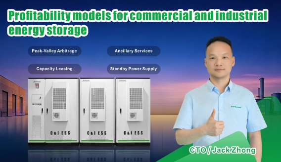 Profit Models of Commercial & Industrial Energy Storage Systems