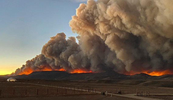 3 Reasons to Choose Energy Storage over a Generator during Fire & Hurricane Season: Reason-2