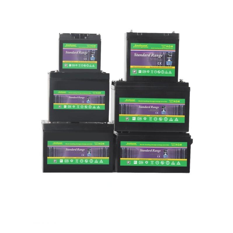 Standard Range VRLA Battery