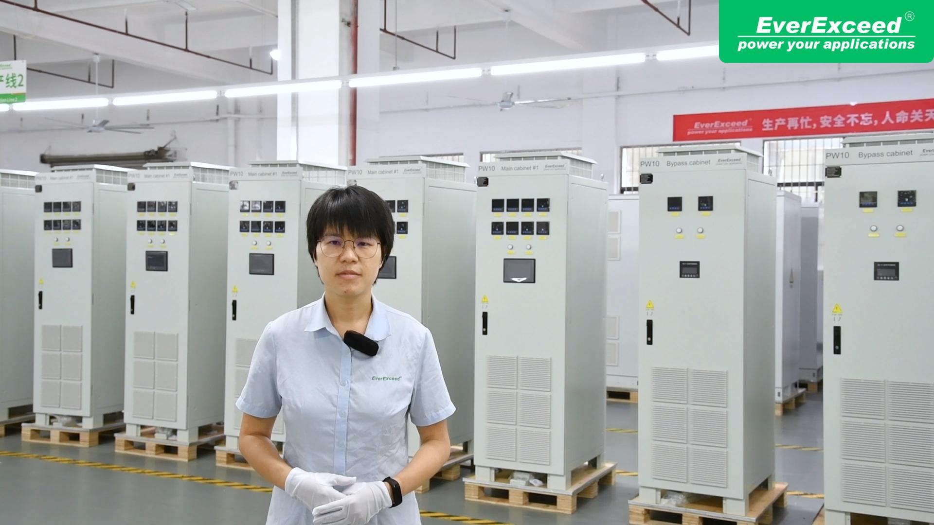 EverExceed customized 10kVA UPS Solution
