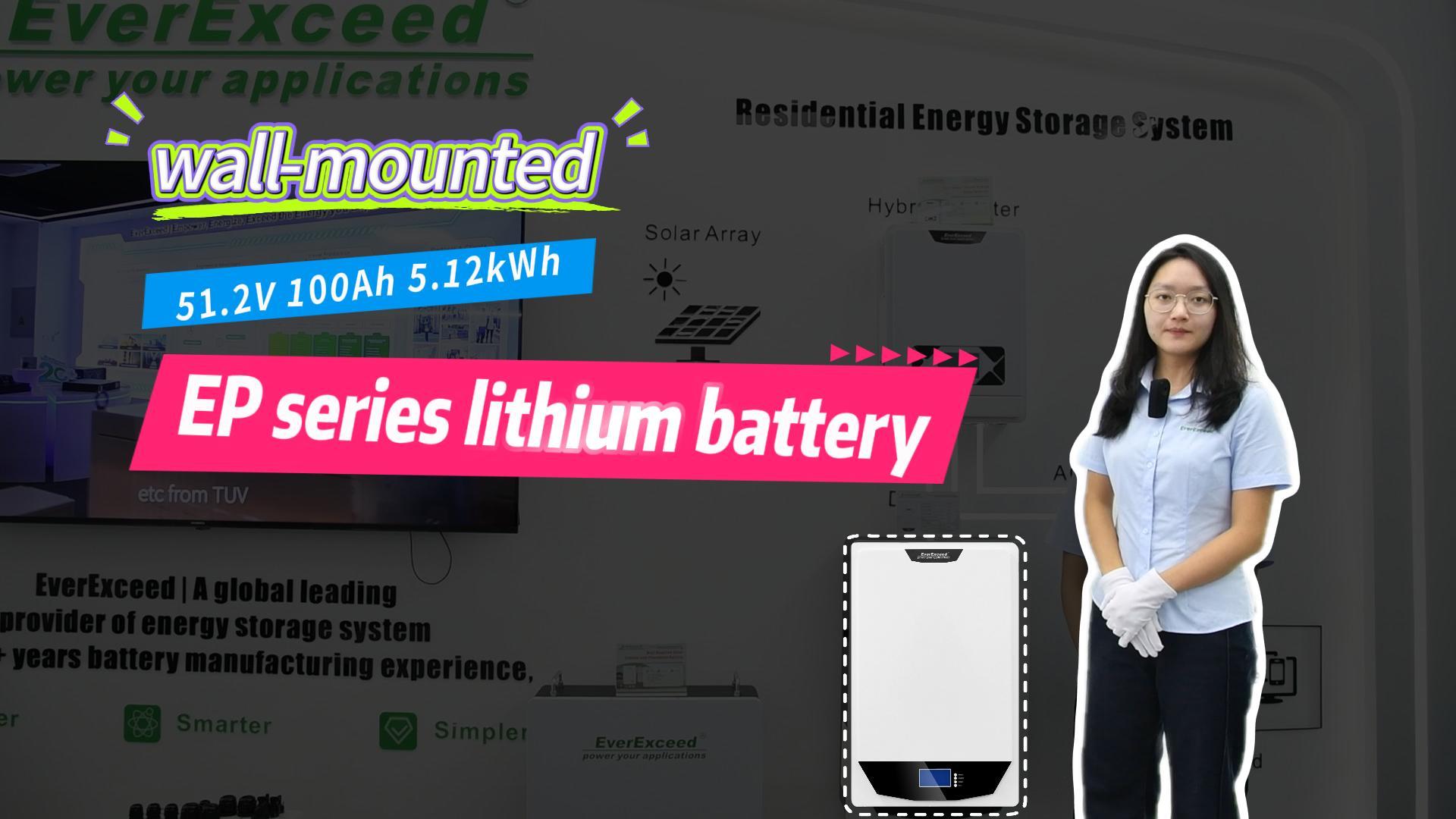  EverExceed 51.2V Wall-Mounted Lithium Battery
