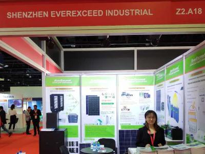 Successful Participation at Middle East Electricity - Solar 2019