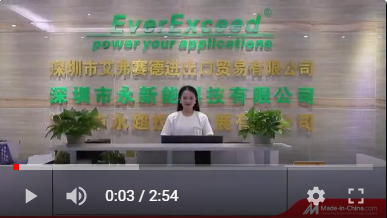 EverExceed Company profile 