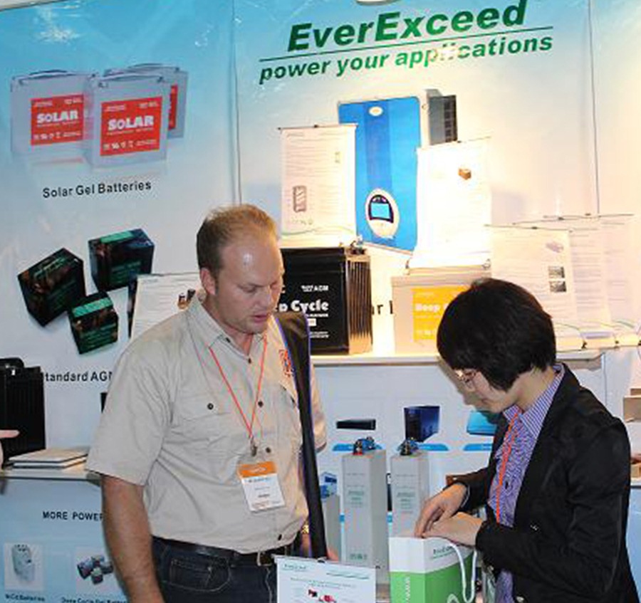 Successful Exhibition on Power and Electricity World Africa 2014