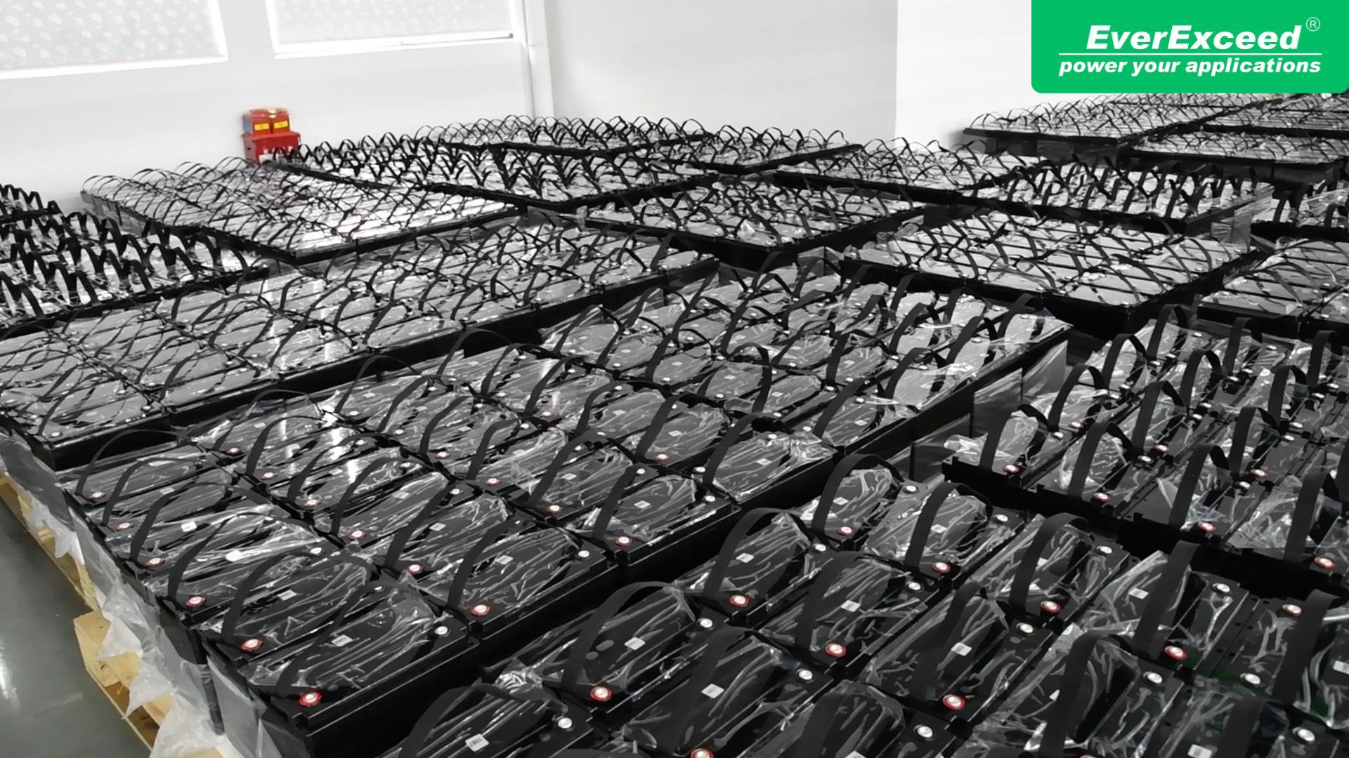  EverExceed LDP LiFePO4 Battery Production | ISO Certified Manufacturer