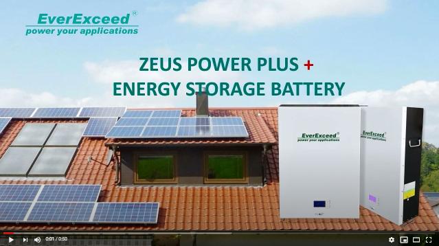 EverExceed Zeus Power Plus+Wall Mounted Lithium Battery Solution