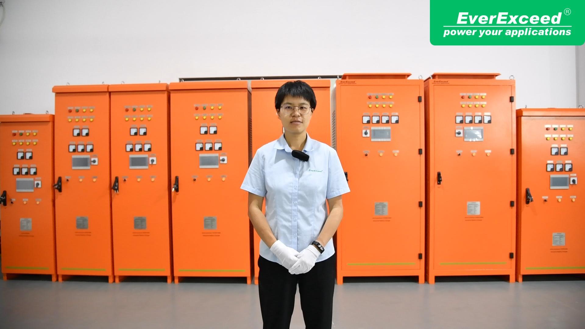 EverExceed 12-Pulse Industrial Battery Charger 
