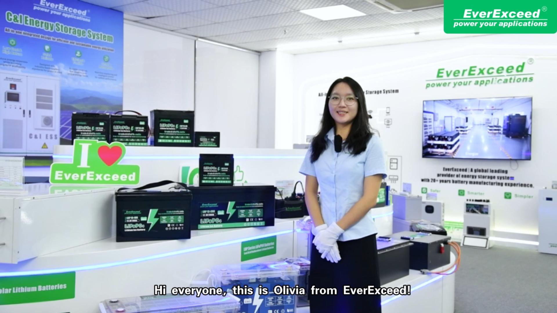  EverExceed LDP Series Lead Acid Replacement